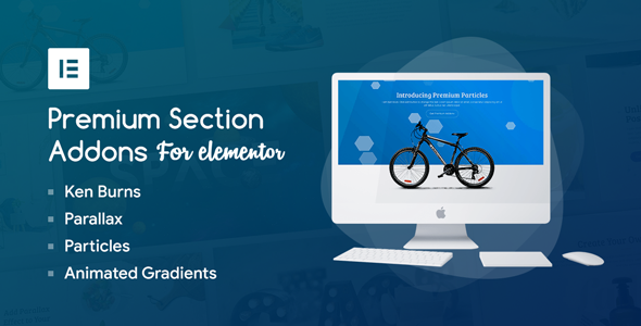 Premium Section