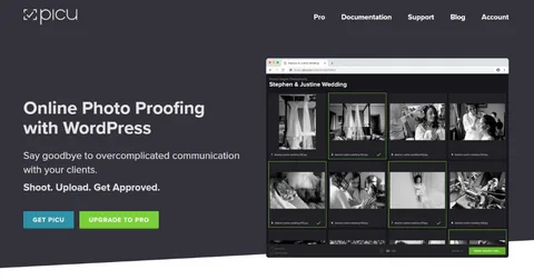 picu PRO