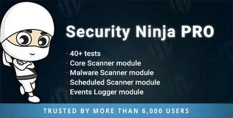 Security Ninja