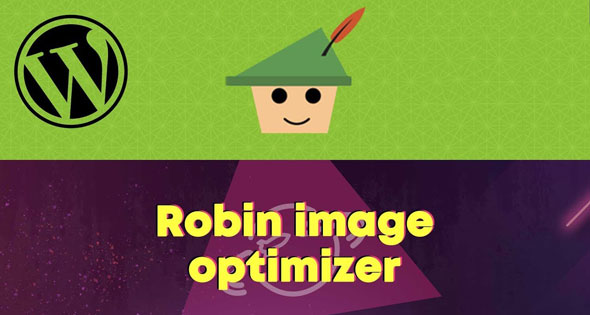 Webcraftic Robin image